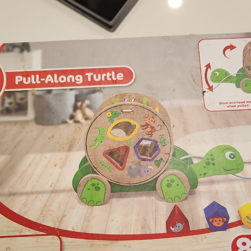 Pull-Along Turtle Shape Sorter Toy